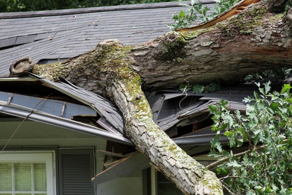 Storm Remediation in Parrish