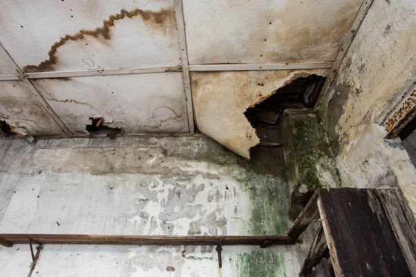 Water Damage Service in Parrish