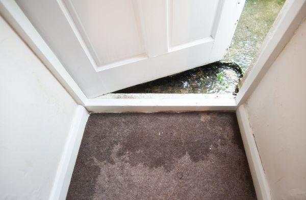 Wet Carpet Restoration in Parrish