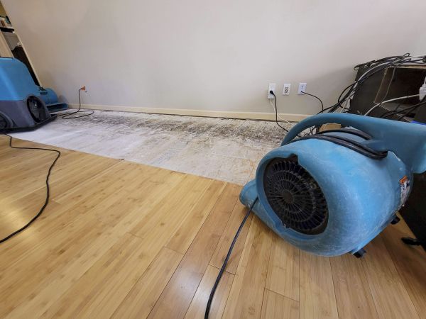 Cost of Water Damage Mitigation in Parrish