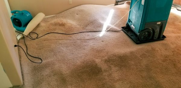 Flood Damage Cleanup in Parrish