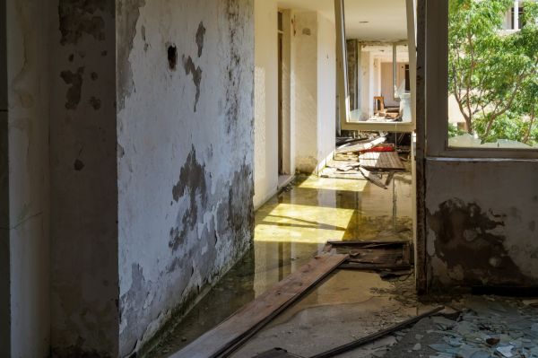 Water Removal Service in Parrish