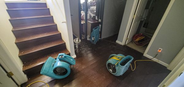 Water Damage Remediation in Parrish