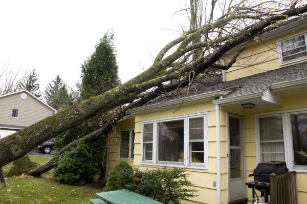 Hurricane Damage Repair in Parrish