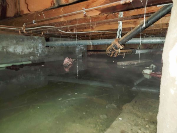 Crawlspace Water Restoration in Parrish
